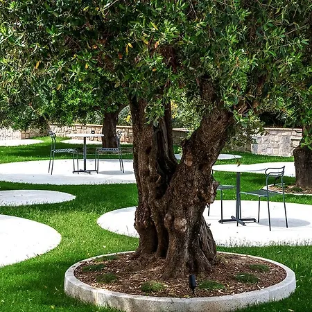 Oliveto A Mare - & Aparthotel Ascea