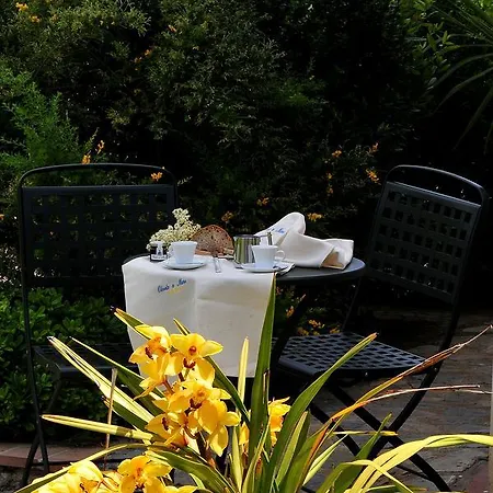 Aparthotel Oliveto A Mare - & *