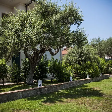 Oliveto A Mare - & *