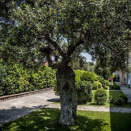 Oliveto A Mare - & Aparthotel