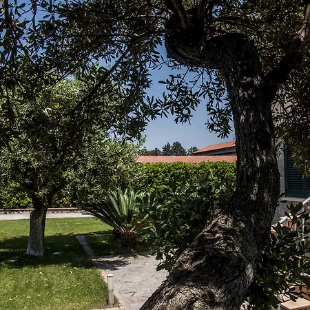 Oliveto A Mare - & 4*