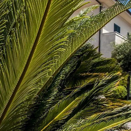 Aparthotel Oliveto A Mare - & Ascea