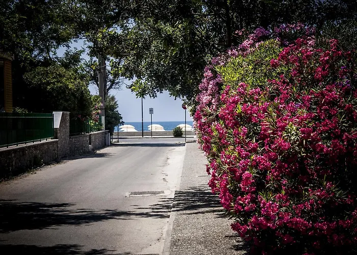 Oliveto A Mare - & 4* Ascea