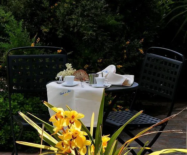 Apartmanhotel Oliveto A Mare - & 4*