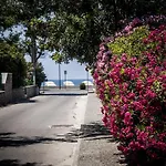 Oliveto A Mare - & 4* Ascea