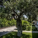 Oliveto A Mare - & Lejlighedshotel