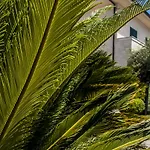 Lejlighedshotel Oliveto A Mare - & Ascea