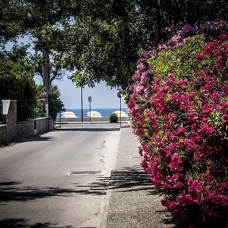 Oliveto A Mare - & * Ascea